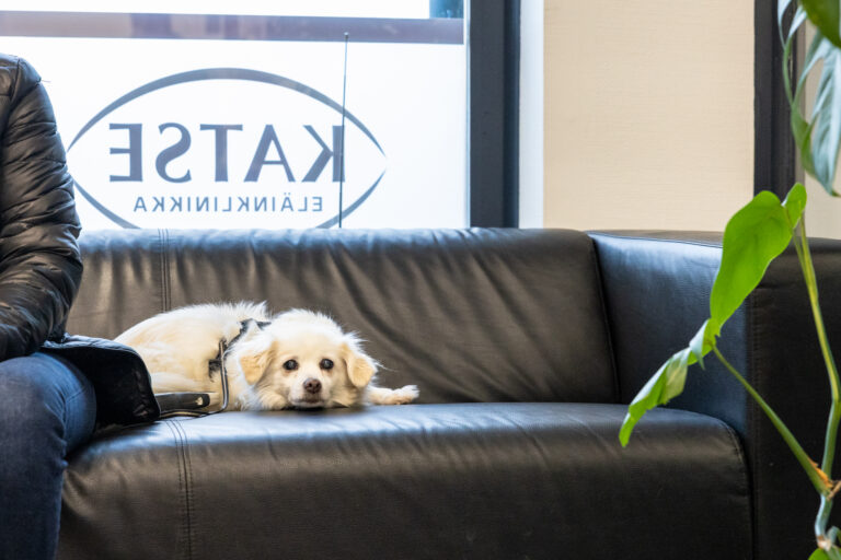 Terveystarkastus-kampanja maaliskuun loppuun!